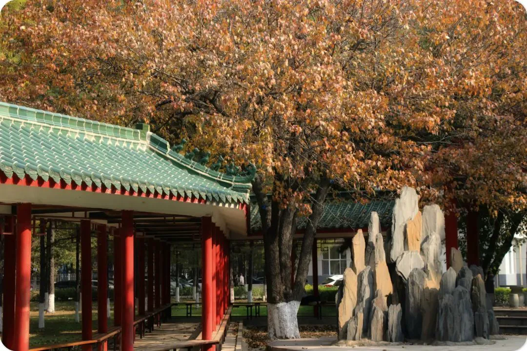 初中生篮球运动员如何科学提升速度_1